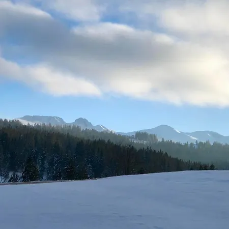 Semesterbostad Bystre Nowe Bystre