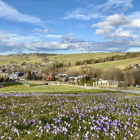 Bystre