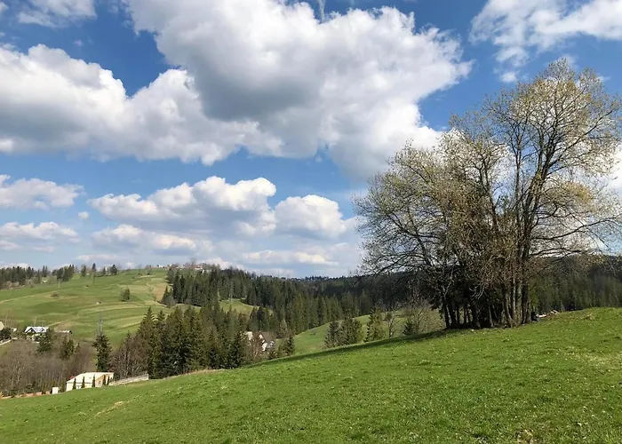 Bystre بيت للعطل *