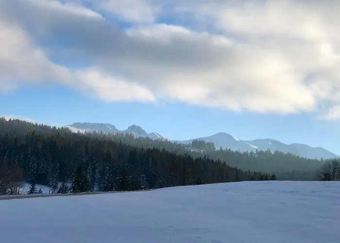 بيت للعطل Bystre Nowe Bystre