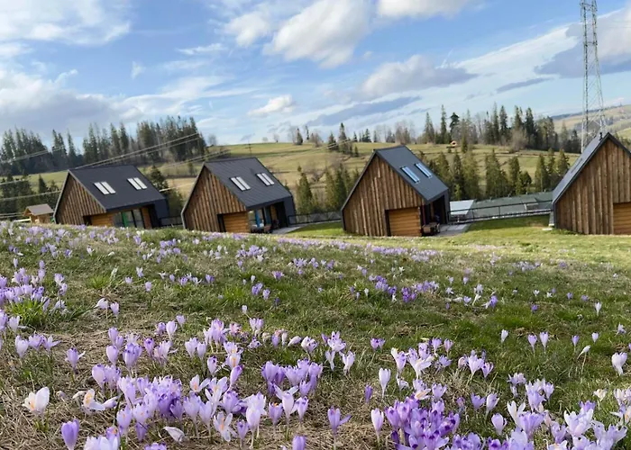 Bystre بيت للعطل *